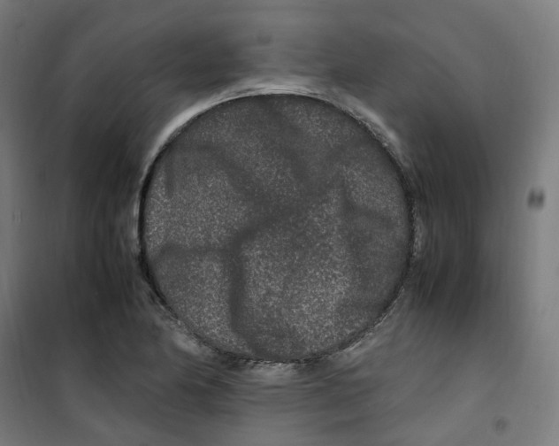 X0000100341174200807031251