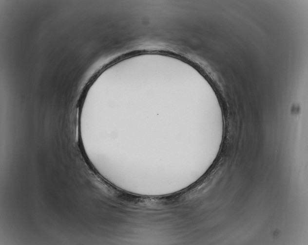 X0000100341175200807031251