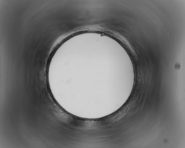 X0000100341176200807031251