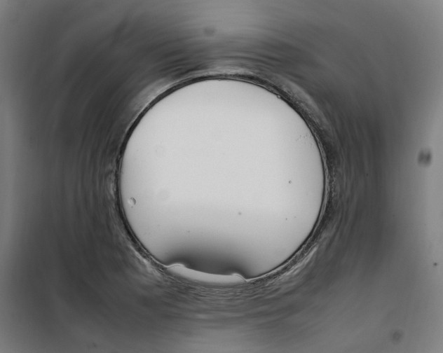 X0000100341177200807031251