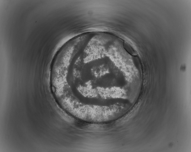 X0000100341179200807031251