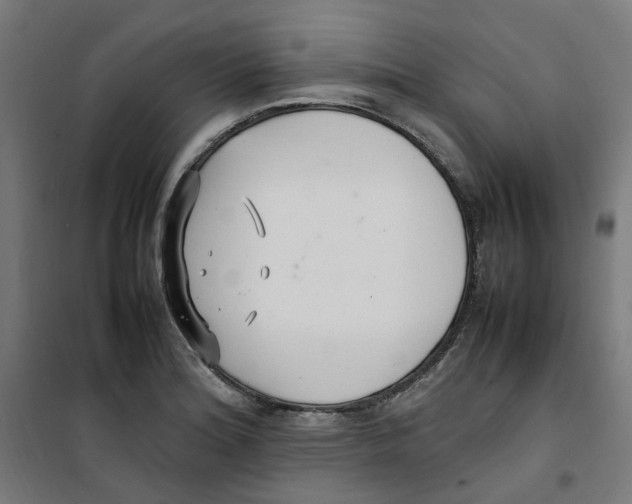 X0000100341180200807031251