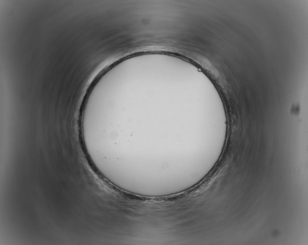 X0000100341181200807031251