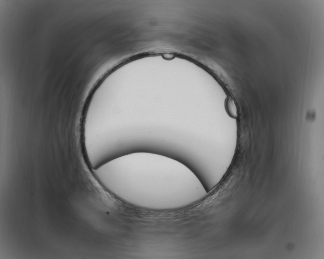 X0000100341183200807031251