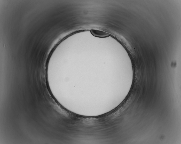 X0000100341184200807031251