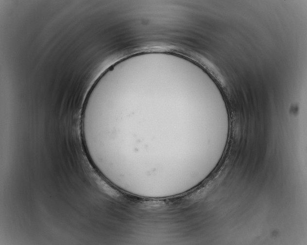 X0000100341186200807031251