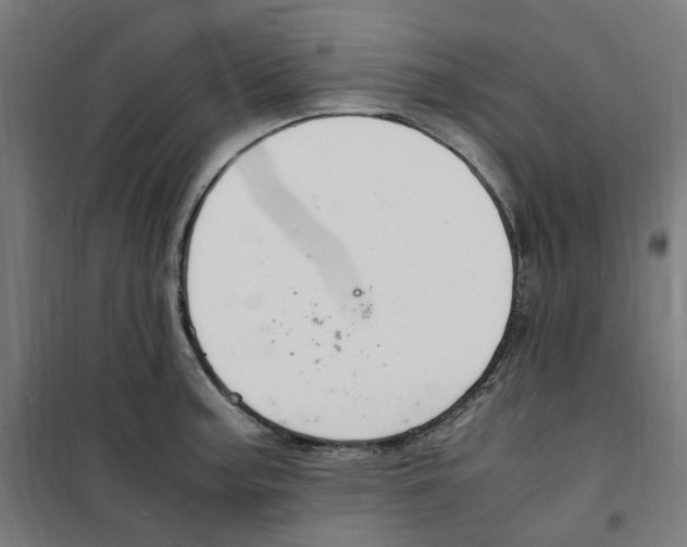 X0000100341187200807031251