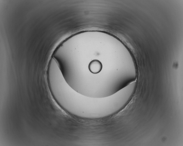 X0000100341189200807031251