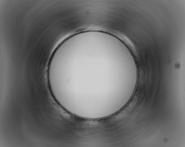 X0000100341190200807031251