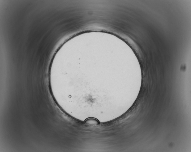 X0000100341191200807031251