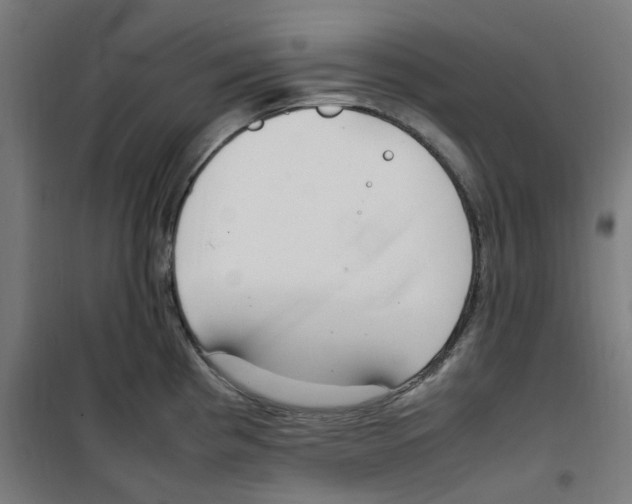 X0000100341193200807031251