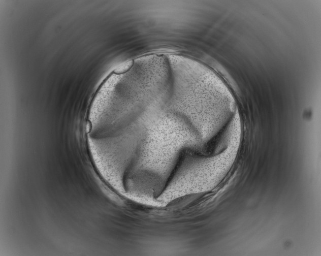 X0000100341194200807031251