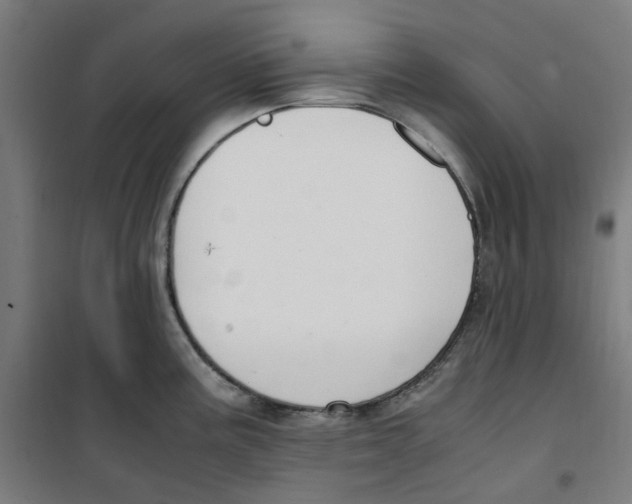 X0000100341195200807031251