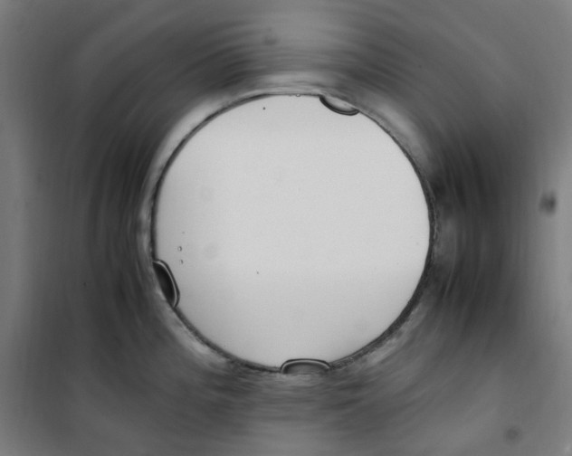 X0000100341196200807031251