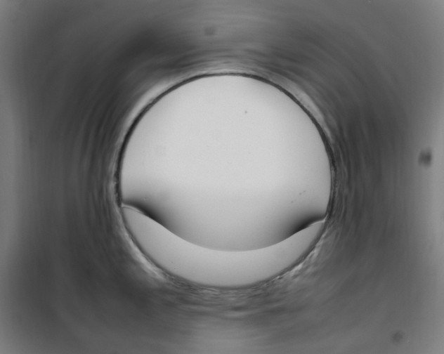 X0000100341197200807031251