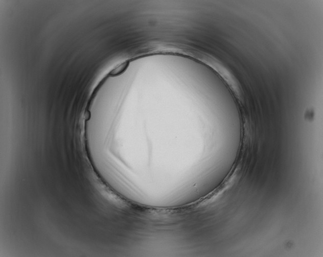 X0000100341198200807031251