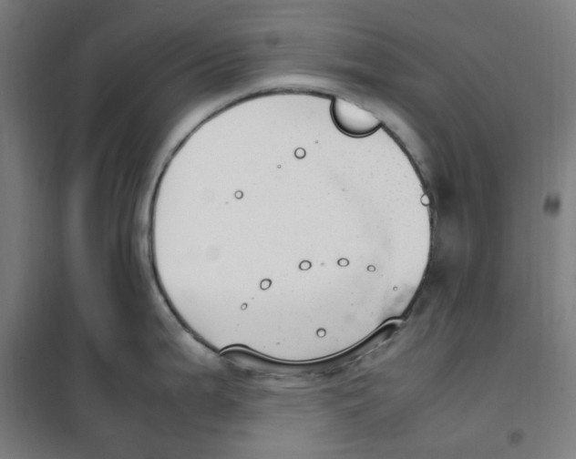 X0000100341199200807031251