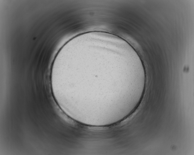 X0000100341200200807031251