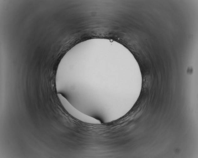 X0000100341202200807031250