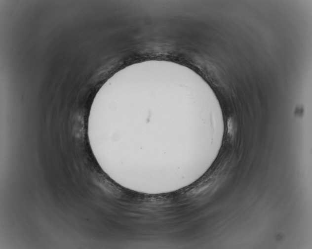 X0000100341203200807031250