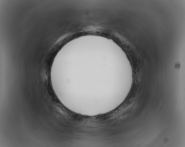 X0000100341206200807031250