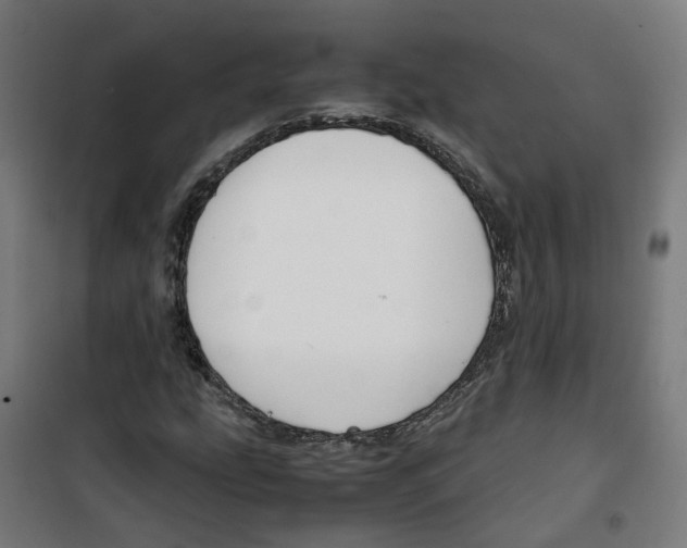 X0000100341207200807031250