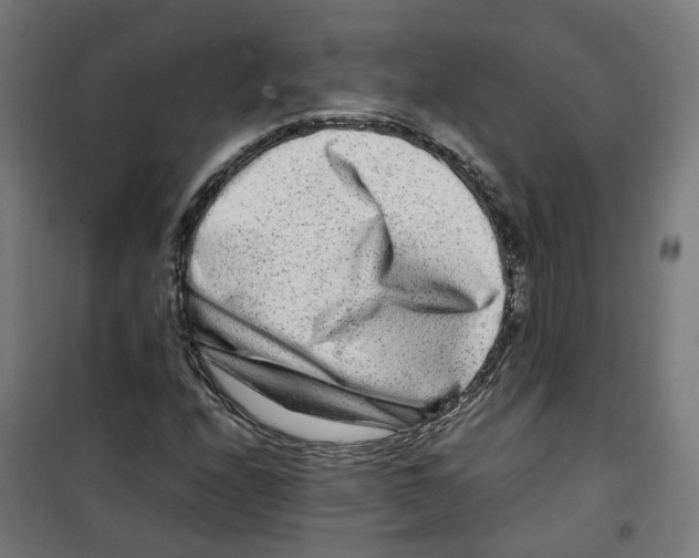 X0000100341208200807031251