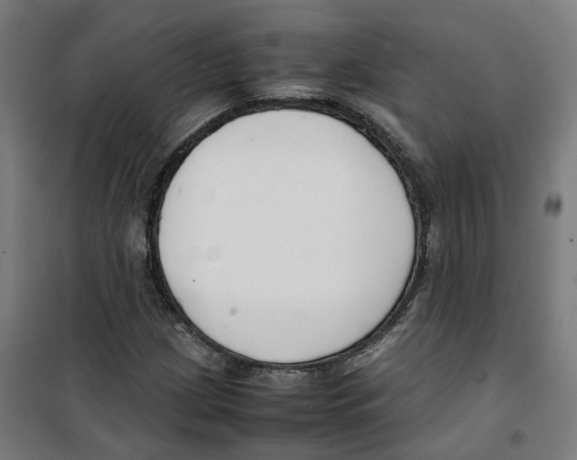 X0000100341209200807031251