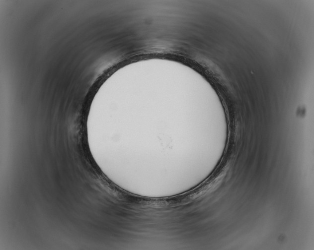 X0000100341210200807031251