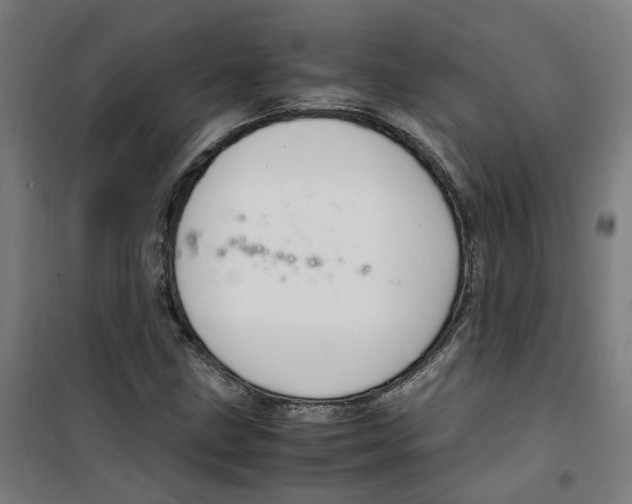 X0000100341211200807031251