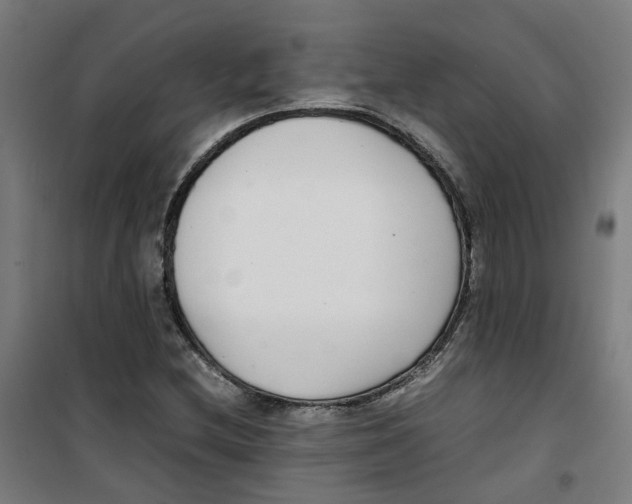 X0000100341212200807031251