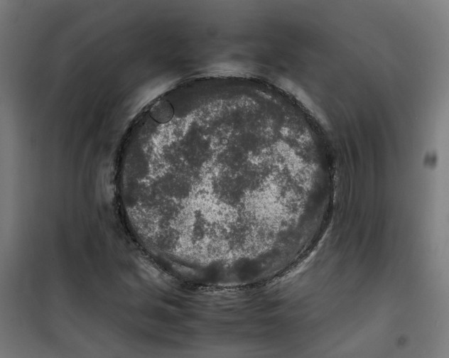 X0000100341213200807031251