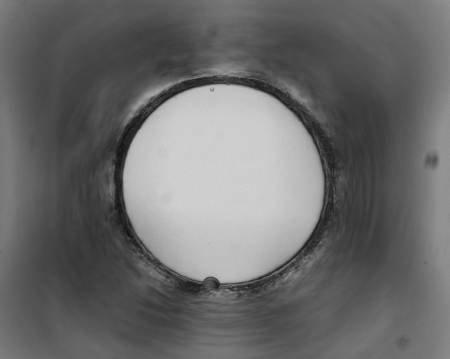 X0000100341214200807031251