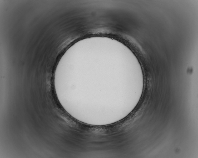 X0000100341217200807031251