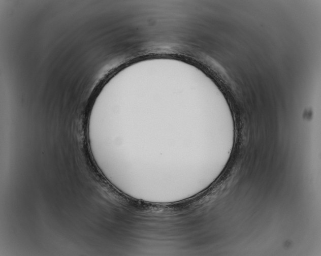 X0000100341218200807031251