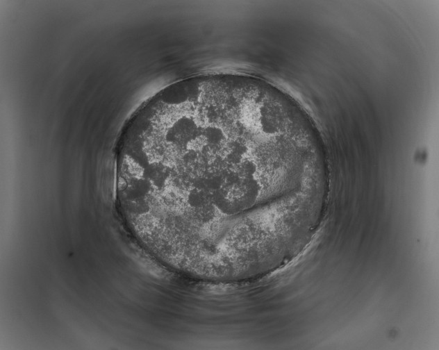 X0000100341219200807031251