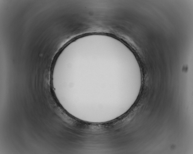 X0000100341220200807031251