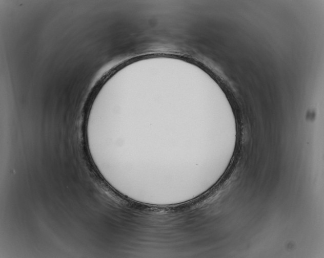 X0000100341222200807031251