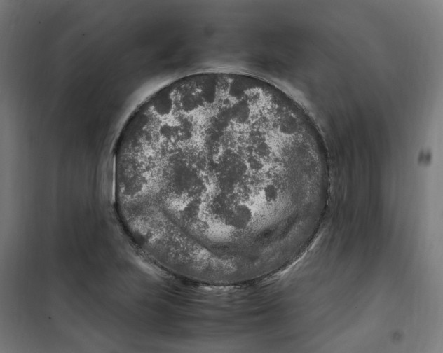 X0000100341223200807031251