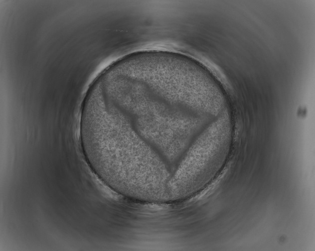 X0000100341224200807031251