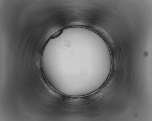 X0000100341225200807031251