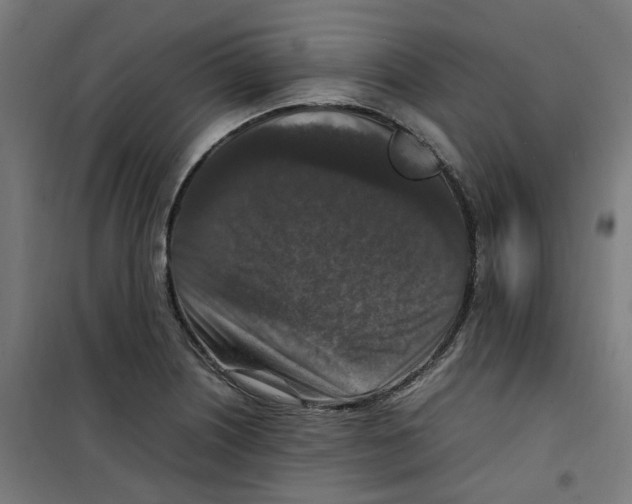 X0000100341226200807031251