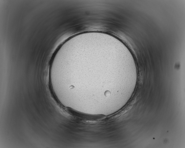 X0000100341227200807031251