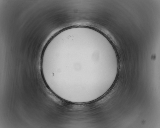 X0000100341232200807031251