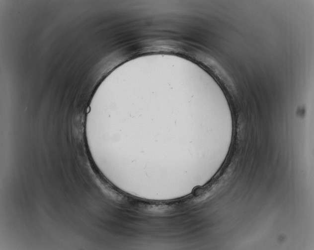 X0000100341233200807031251