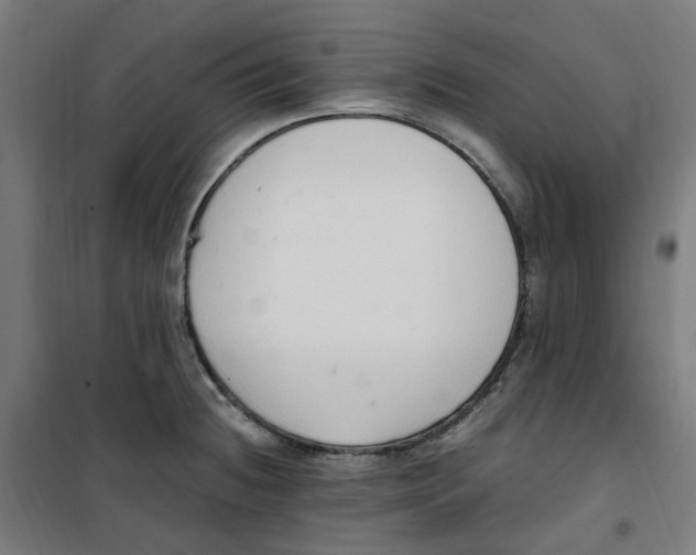 X0000100341236200807031251