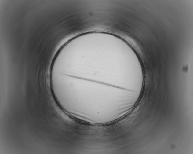 X0000100341238200807031251