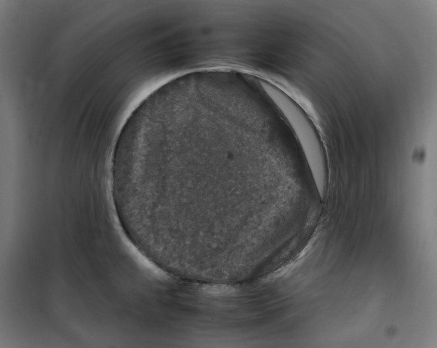 X0000100341239200807031251