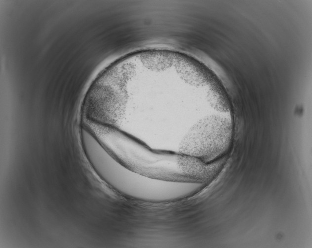 X0000100341240200807031251