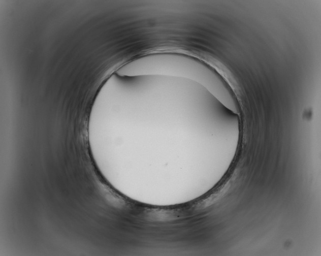 X0000100341241200807031251